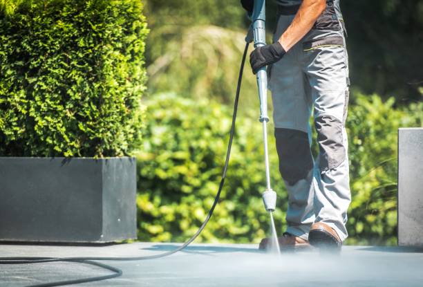 Best Paint Preparation  in Lodi, WI