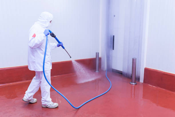 Best Roof Washing  in Lodi, WI